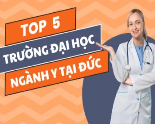 Các trường đại học Y hàng đầu tại Đức Các trường đại học Y hàng đầu tại Đức