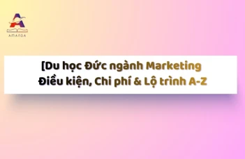[2025] Du học Đức ngành Marketing - Điều kiện, Chi phí & Lộ trình A - Z