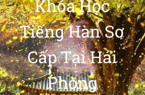 Khoá Học tiếng Hàn Sơ Cấp Tại Thuỷ nguyên Hải Phòng