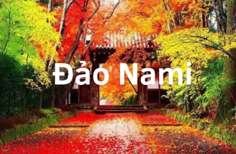 Khám Phá Đảo Nami Đẹp Không Lối Thoát Ở Xứ Sở Kim Chi