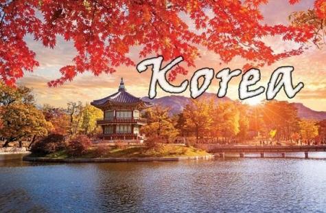 Những Kinh Nghiệm Du Lịch Hàn Quốc Mà Bạn Không Nên Bỏ Lỡ
