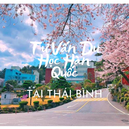 Tu-van-du-hoc-han-quoc-tai-thai-binh6 Tu-van-du-hoc-han-quoc-tai-thai-binh6