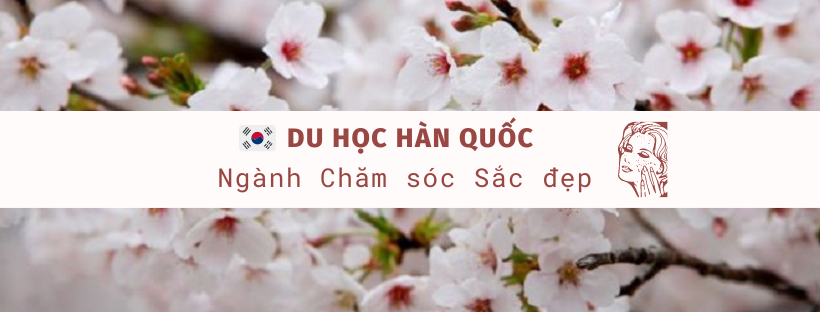 du-hoc-han-quoc-nganh-cham-soc-sac-dep du-hoc-han-quoc-nganh-cham-soc-sac-dep