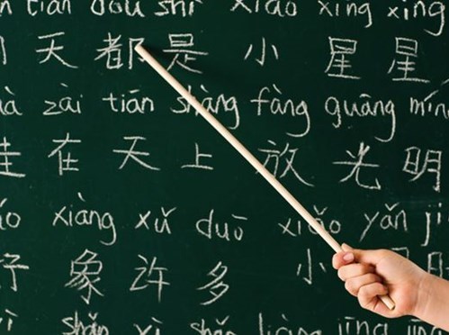 Hoc-tieng-trung-tai-kien-an-hai-phong
