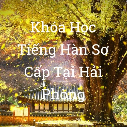 Khoa-hoc-tieng-han-so-cap-tieng-han-so-cap-tai-hai-phong Khoa-hoc-tieng-han-so-cap-tieng-han-so-cap-tai-hai-phong