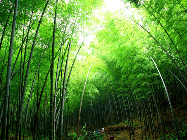 Top-6-dia-diem-khong-the-bo-qua-khi-dat-chan-toi-han-quoc Top-6-dia-diem-khong-the-bo-qua-khi-dat-chan-toi-han-quoc