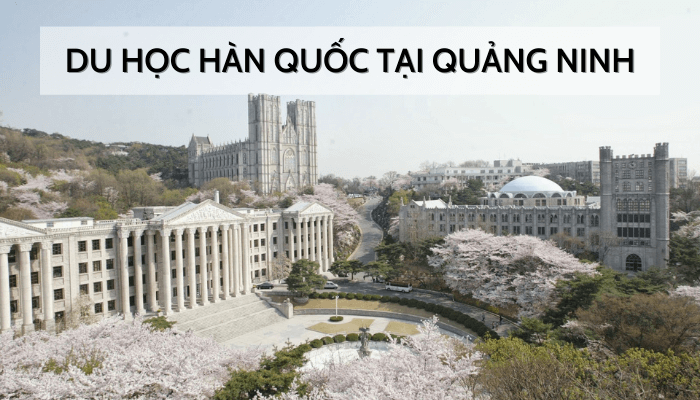 Tu-van-du-hoc-han-quoc-tai-quang-ninh Tu-van-du-hoc-han-quoc-tai-quang-ninh