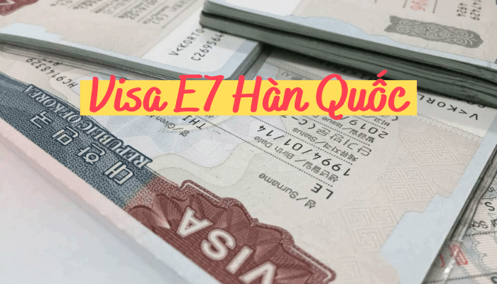 Tu-van-xuat-khau-lao-dong-han-quoc-theo-VISA-E7-tai-hai-phong Tu-van-xuat-khau-lao-dong-han-quoc-theo-VISA-E7-tai-hai-phong