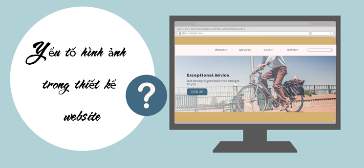 hình ảnh trong thiết kế web hình ảnh trong thiết kế web