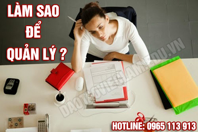 Phần mềm quản lý hải phòng