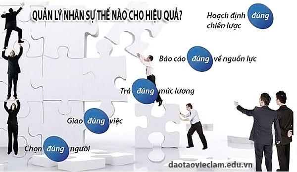 phần mềm quản lý nhân sự hải phòng phần mềm quản lý nhân sự hải phòng