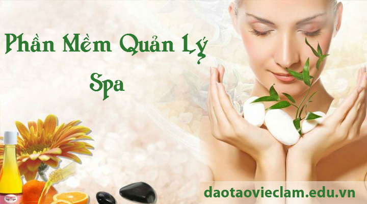phần mềm quản lý spa