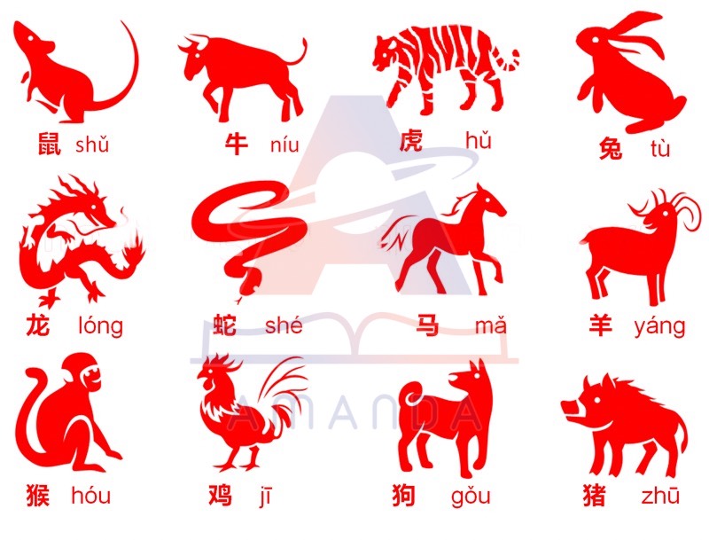 tu-vung-tieng-trung-chu-de-12-con-giap