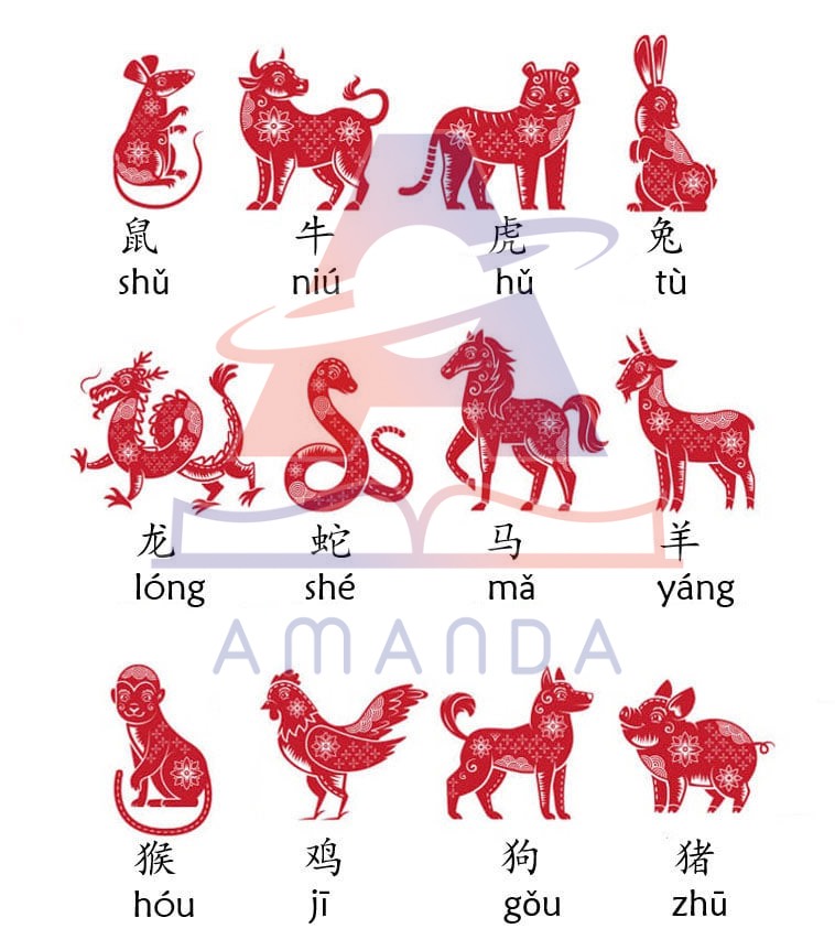 tu-vung-tieng-trung-cac-con-vat-hang-ngay