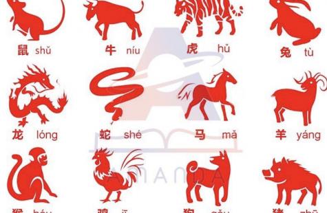 Từ vựng tiếng Trung về 12 Con Giáp