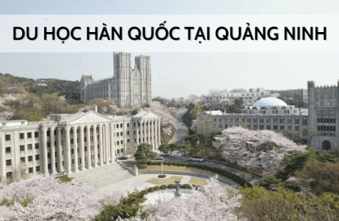 Tư Vấn Du Học Hàn Quốc Tại Quảng Ninh
