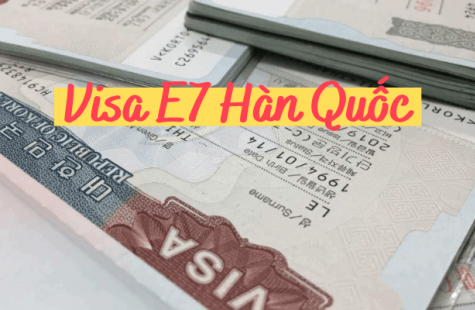 Tư Vấn Xuất Khẩu Lao Động Hàn Quốc VISA E7 Tại Hải Phòng