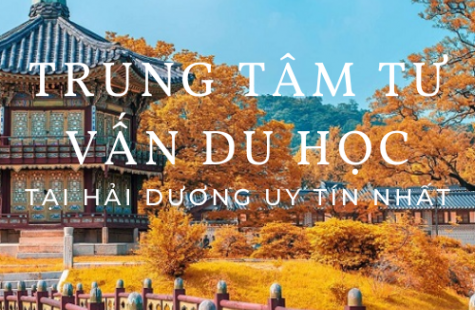 Các Trung Tâm Tư Vấn Du Học Hàn Quốc Tại Hải Dương Uy Tín Nhất